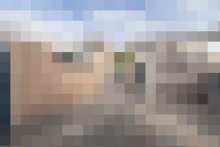Boomgaardweg 30 Odijk thumbnail 38