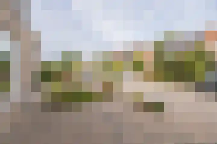 Boomgaardweg 30 Odijk thumbnail 41