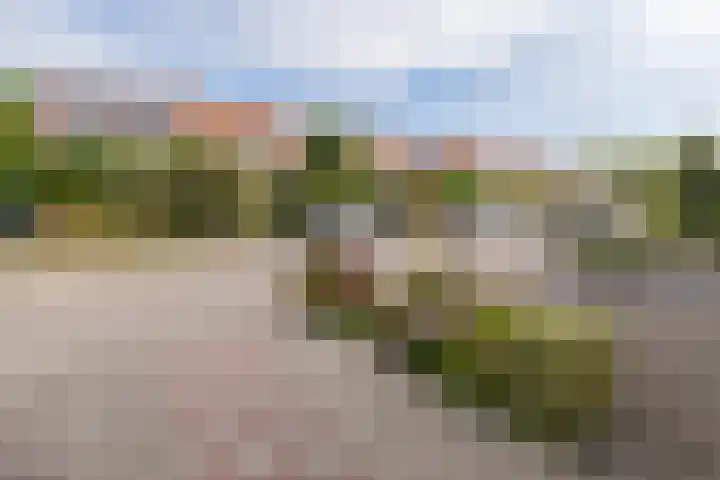 Boomgaardweg 30 Odijk thumbnail 42