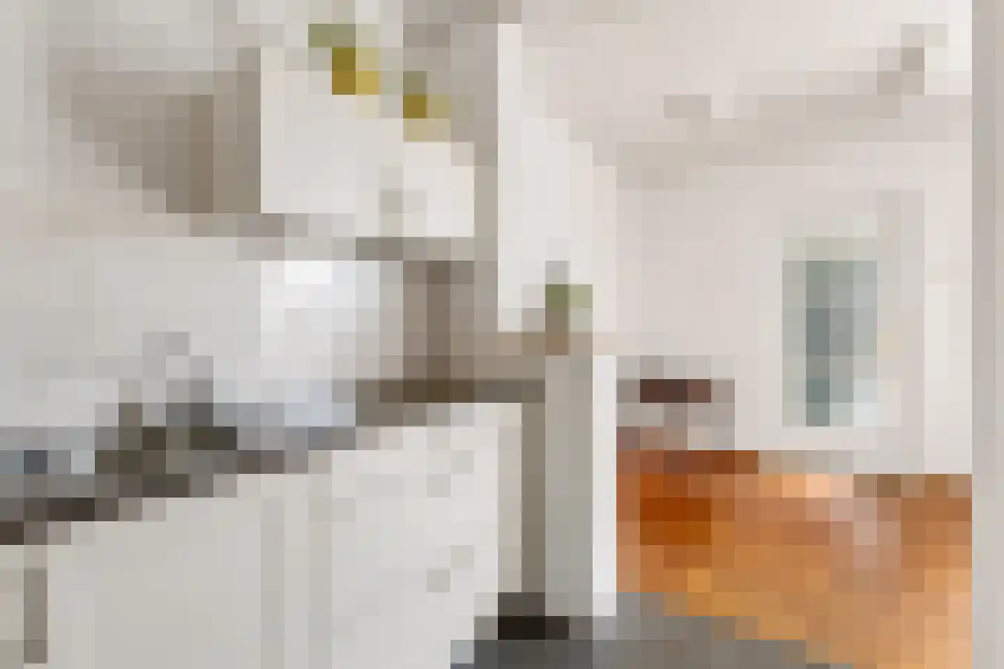 Boomgaardweg 34 Odijk thumbnail 22