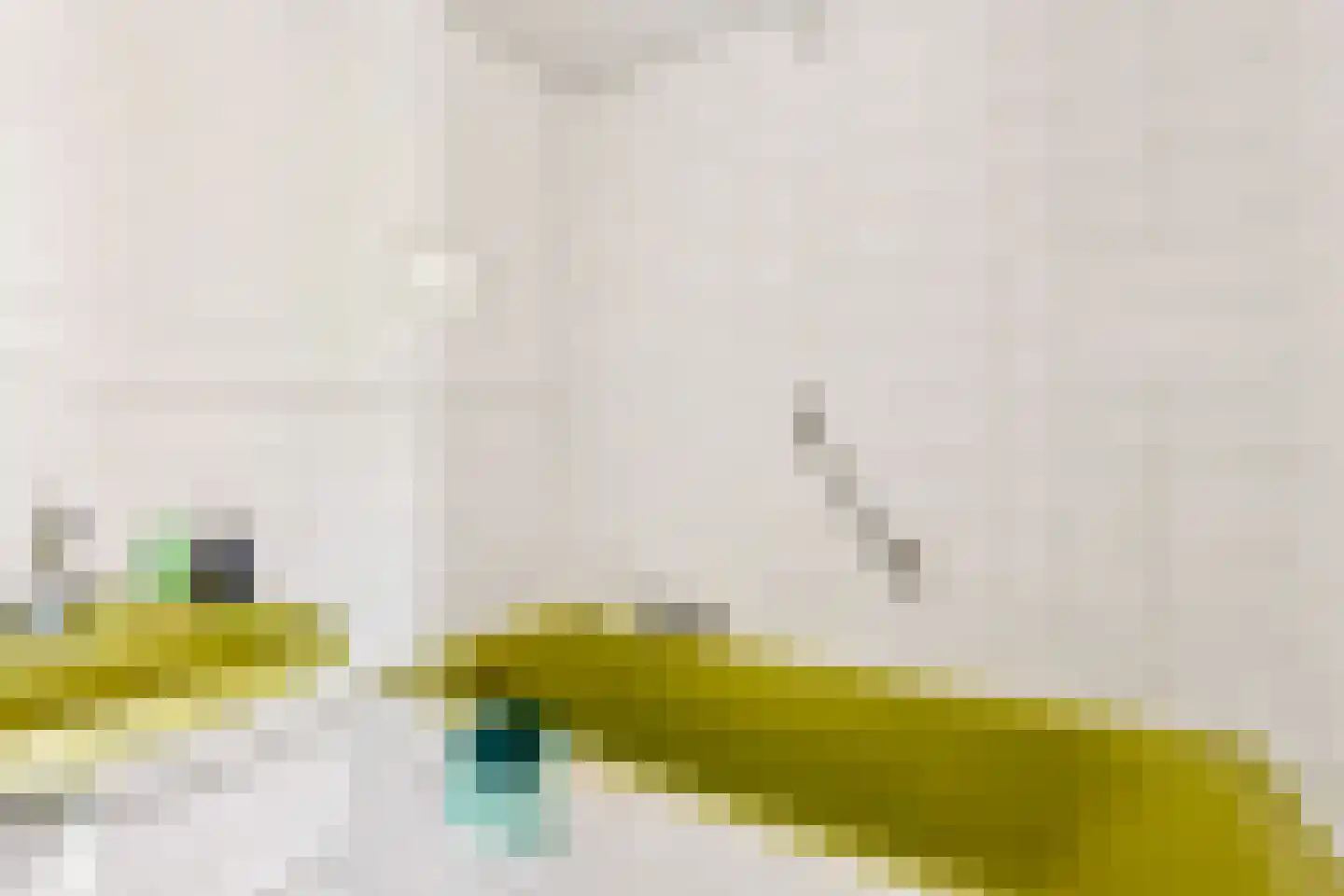 Boomgaardweg 34 Odijk thumbnail 37