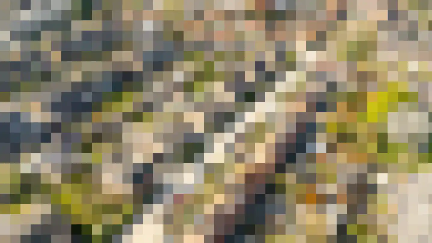 Boomgaardweg 34 Odijk thumbnail 44