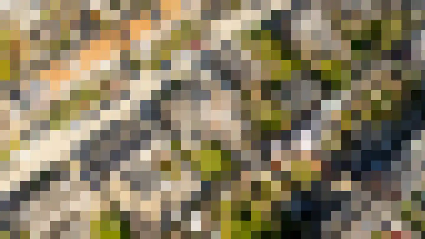 Boomgaardweg 34 Odijk thumbnail 46