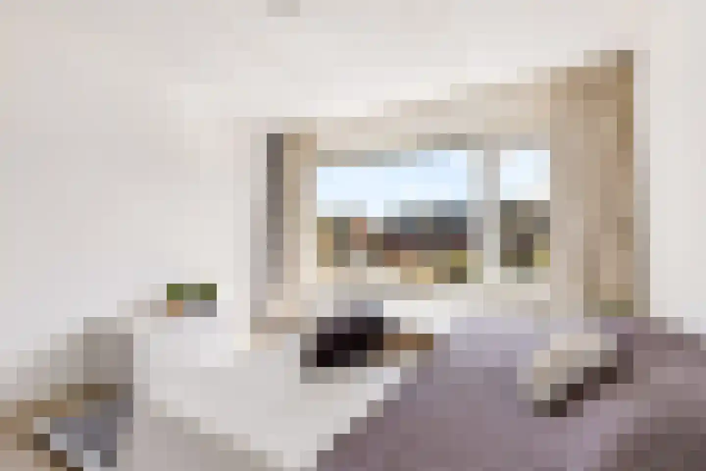 Boomgaardweg 34 Odijk thumbnail 5