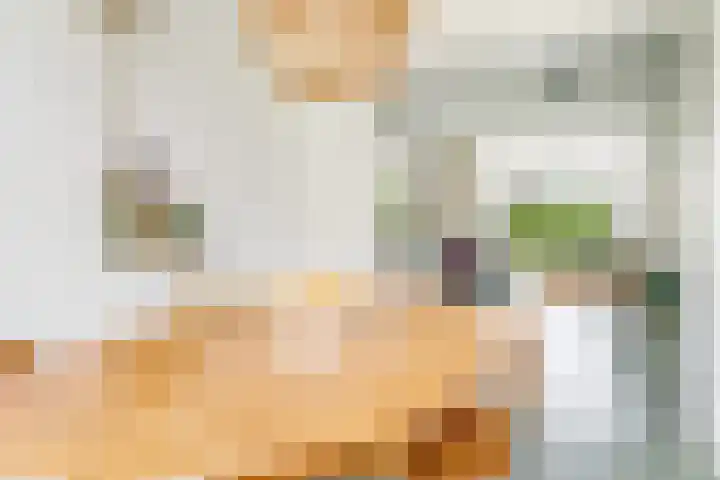 Boomgaardweg 47 Odijk thumbnail 13