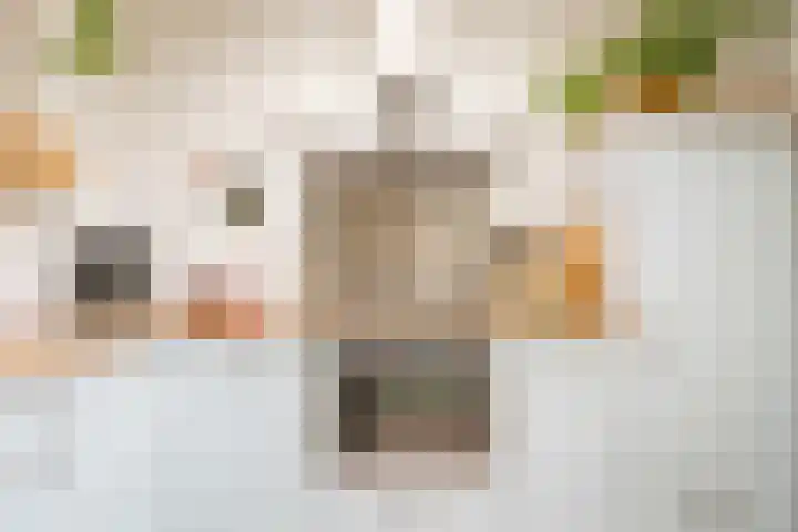 Boomgaardweg 47 Odijk thumbnail 15