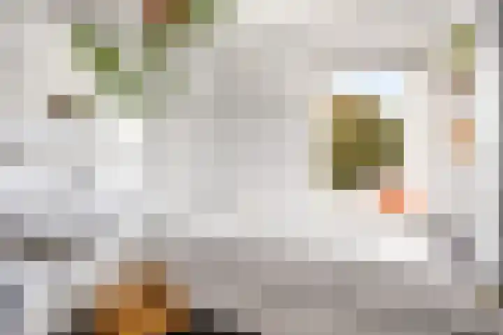 Boomgaardweg 47 Odijk thumbnail 25