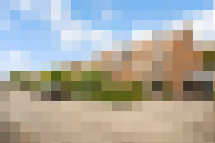 Boomgaardweg 47 Odijk thumbnail 40