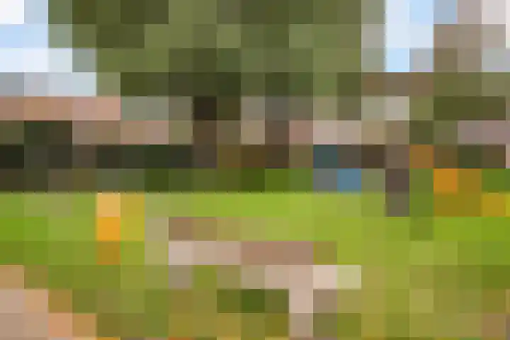 Boomgaardweg 47 Odijk thumbnail 43
