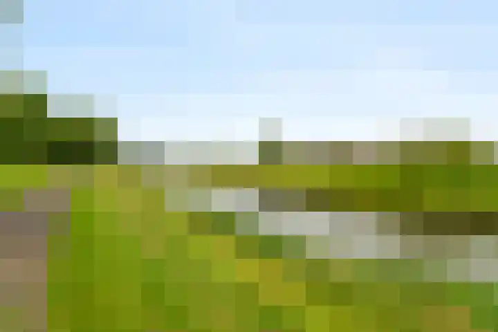 Boomgaardweg 47 Odijk thumbnail 45
