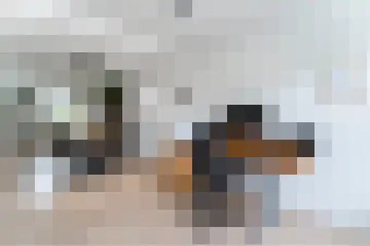 Boomgaardweg 65 Odijk thumbnail 13