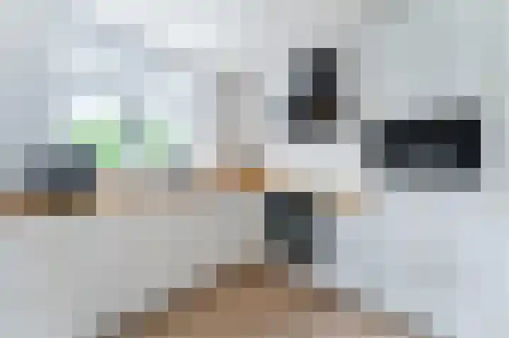 Boomgaardweg 65 Odijk thumbnail 18