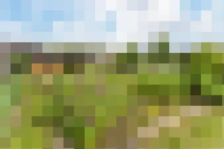 Boomgaardweg 65 Odijk thumbnail 38