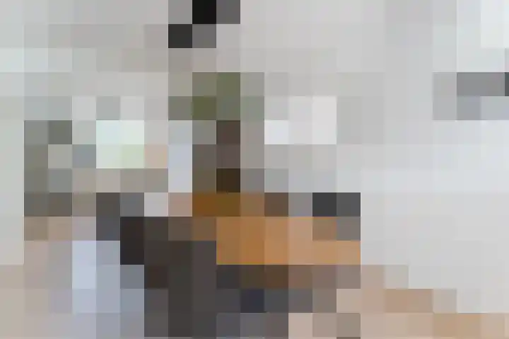 Boomgaardweg 65 Odijk thumbnail 4