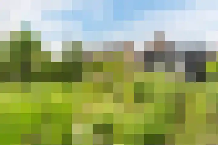 Boomgaardweg 65 Odijk thumbnail 41