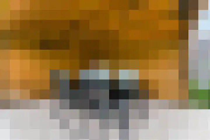 Boomgaardweg 65 Odijk thumbnail 42