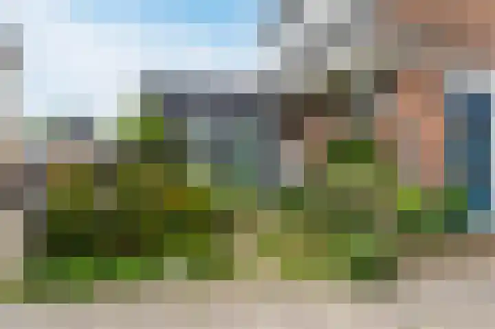 Boomgaardweg 65 Odijk thumbnail 54