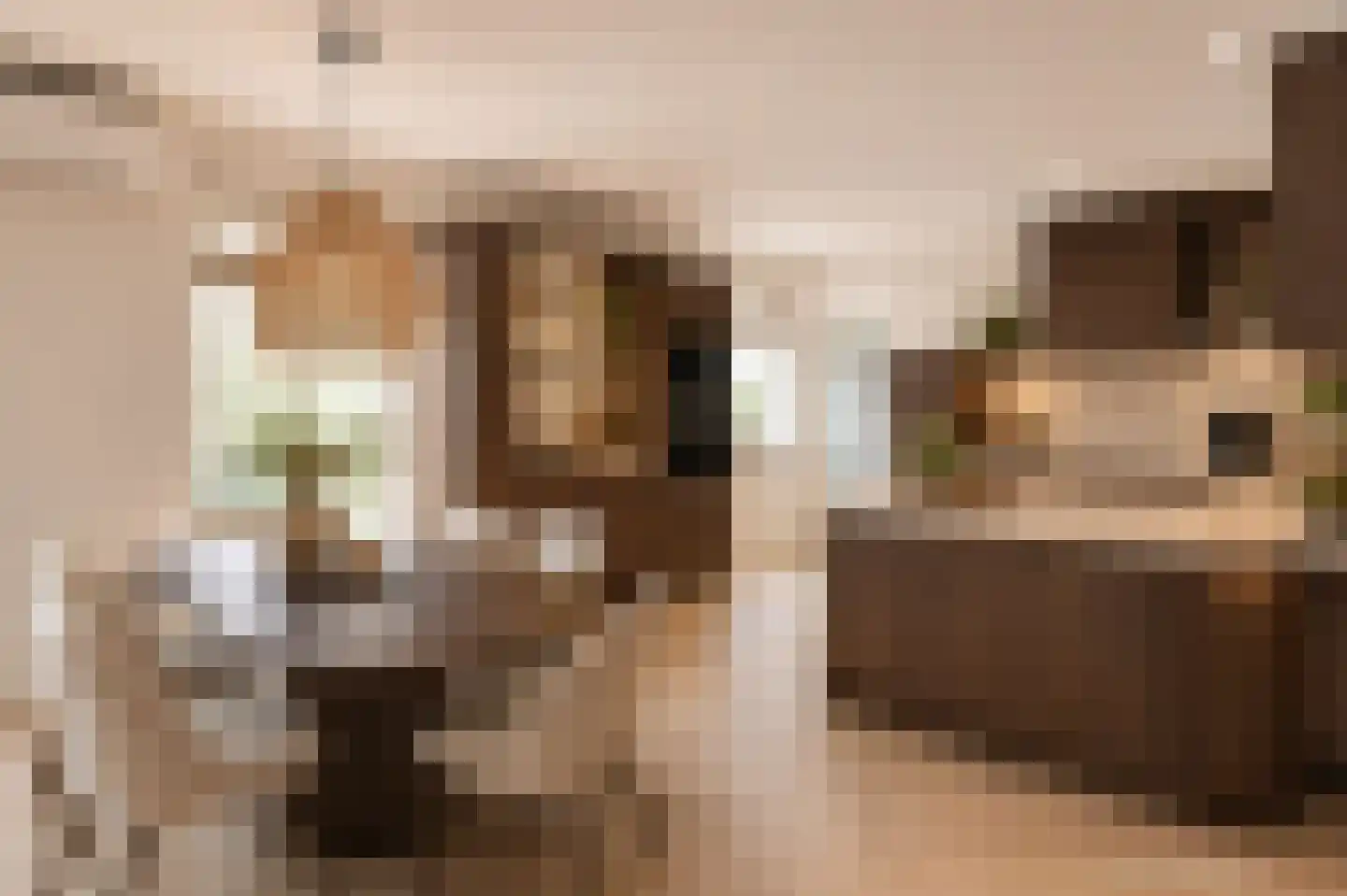 Boomgat 10 Naarden thumbnail 15
