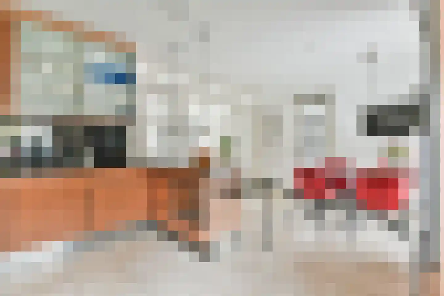 Boomgat 10 Naarden thumbnail 20