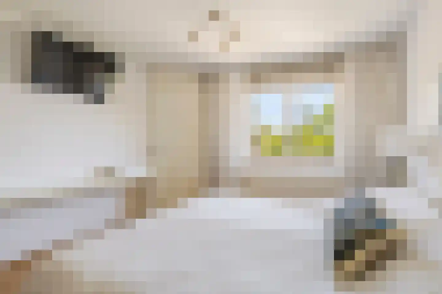 Boomgat 19 Naarden thumbnail 21