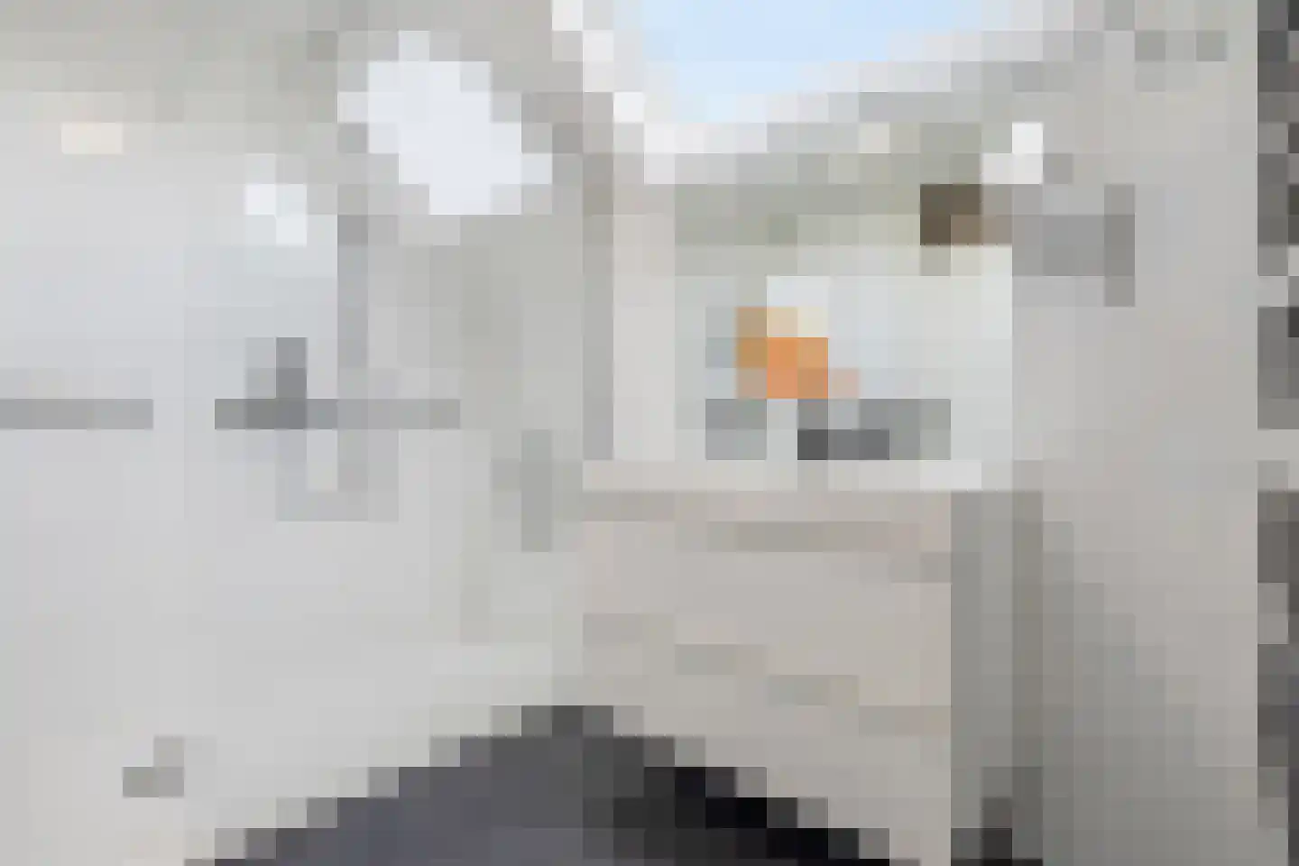 Boomgat 19 Naarden thumbnail 22