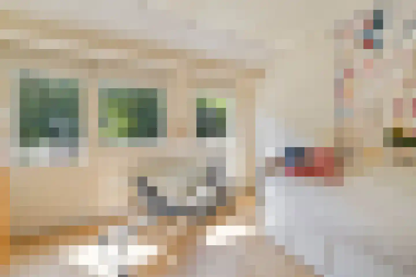 Boomgat 19 Naarden thumbnail 25