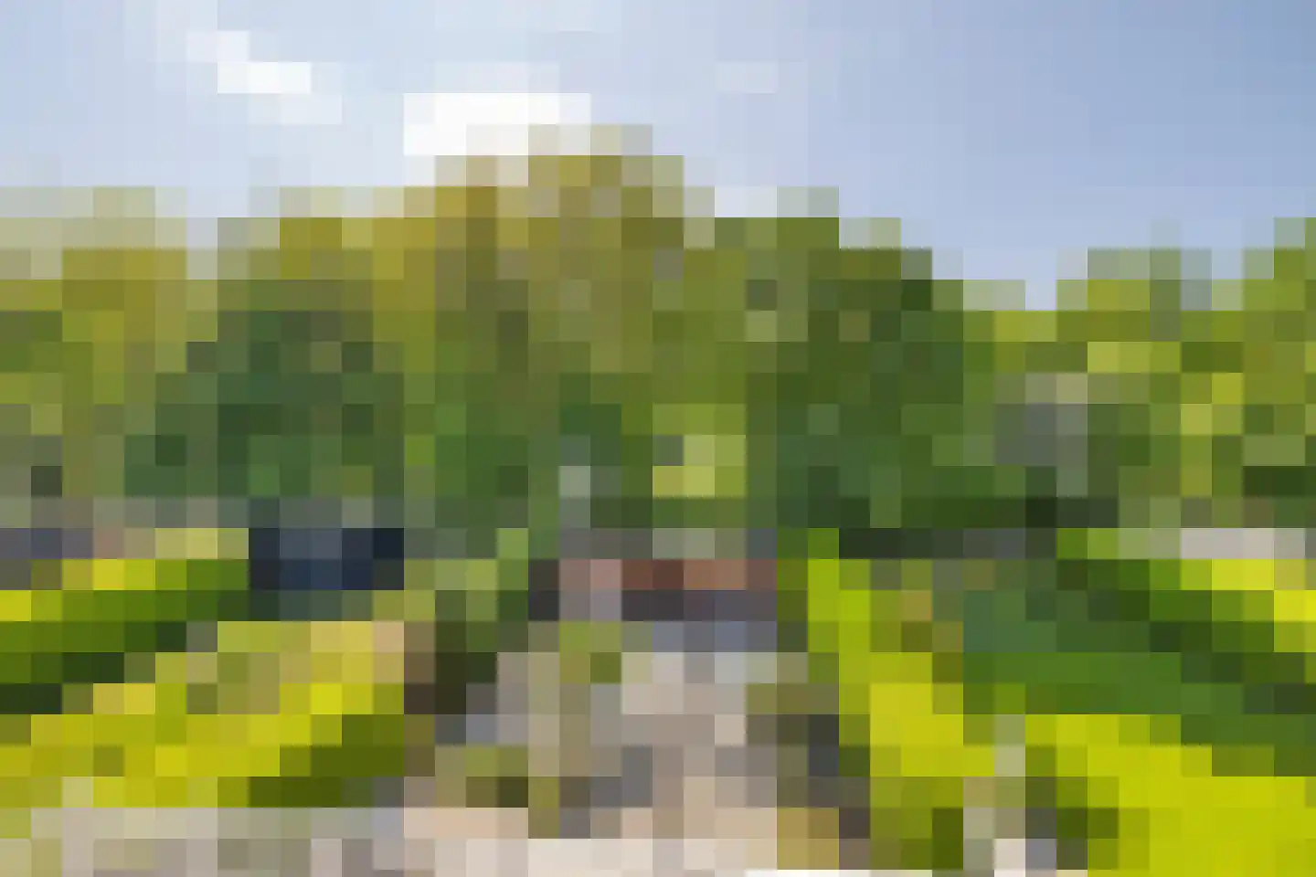 Boomgat 19 Naarden thumbnail 36