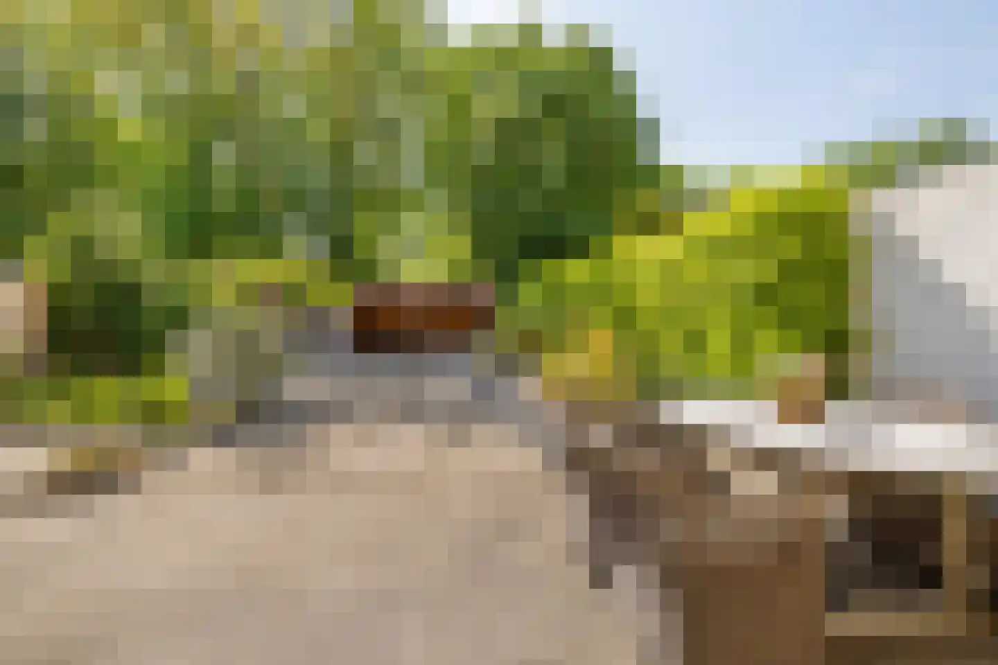 Boomgat 19 Naarden thumbnail 37