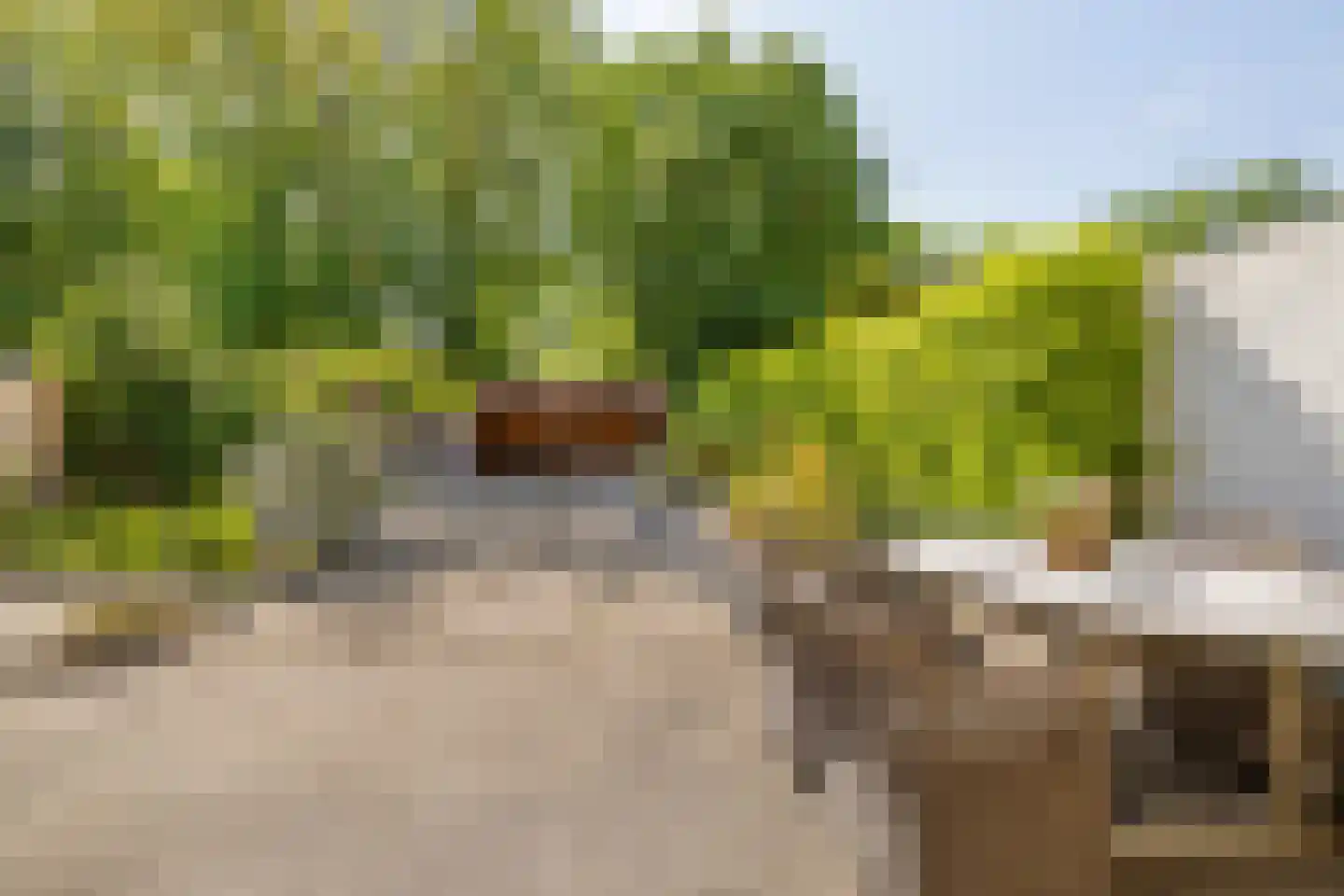 Boomgat 19 Naarden thumbnail 37