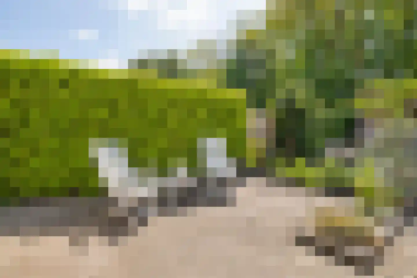 Boomgat 19 Naarden thumbnail 38