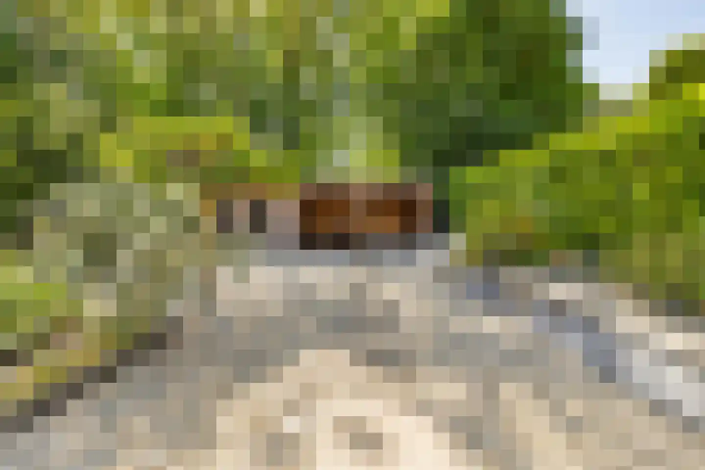 Boomgat 19 Naarden thumbnail 40