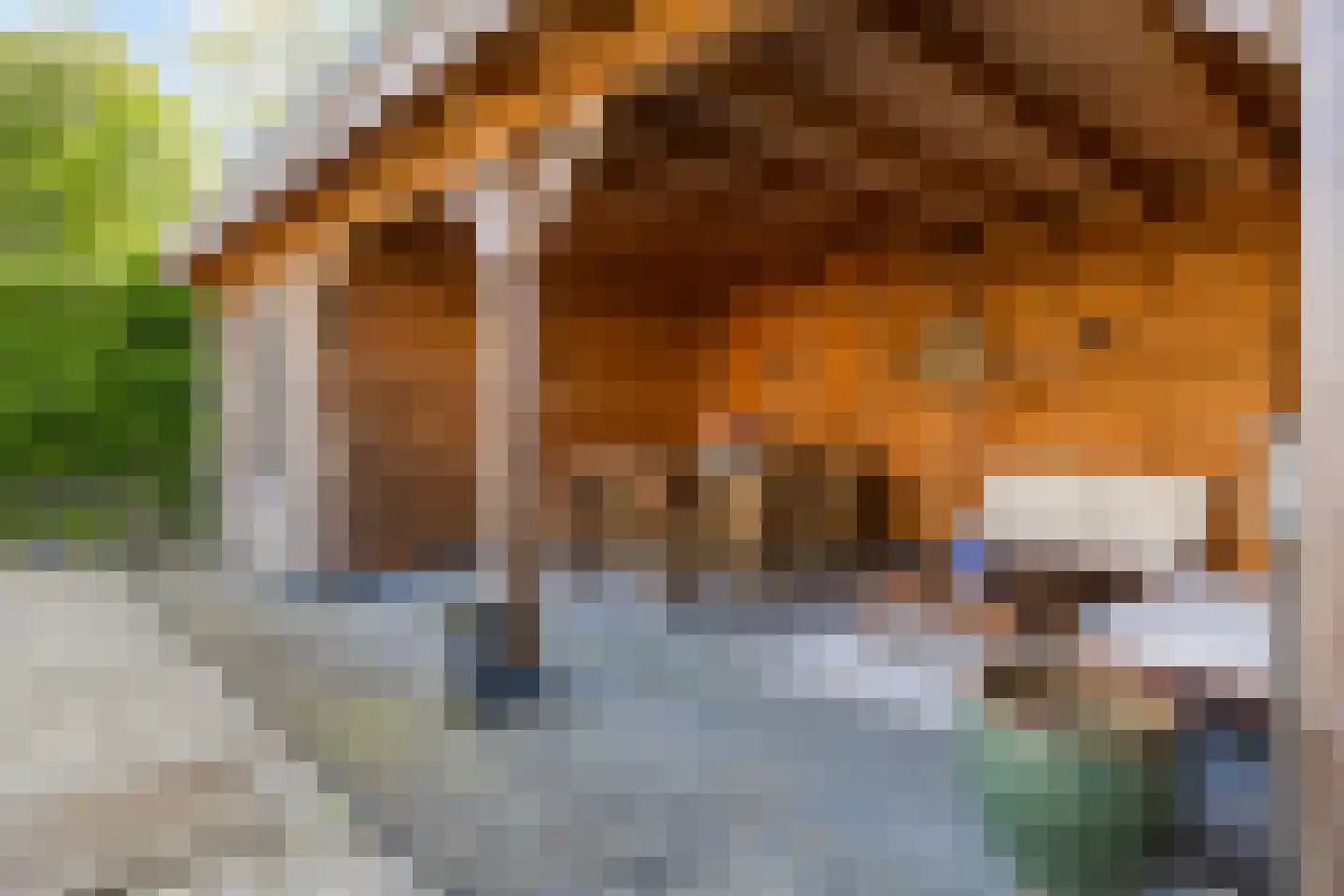 Boomgat 19 Naarden thumbnail 42