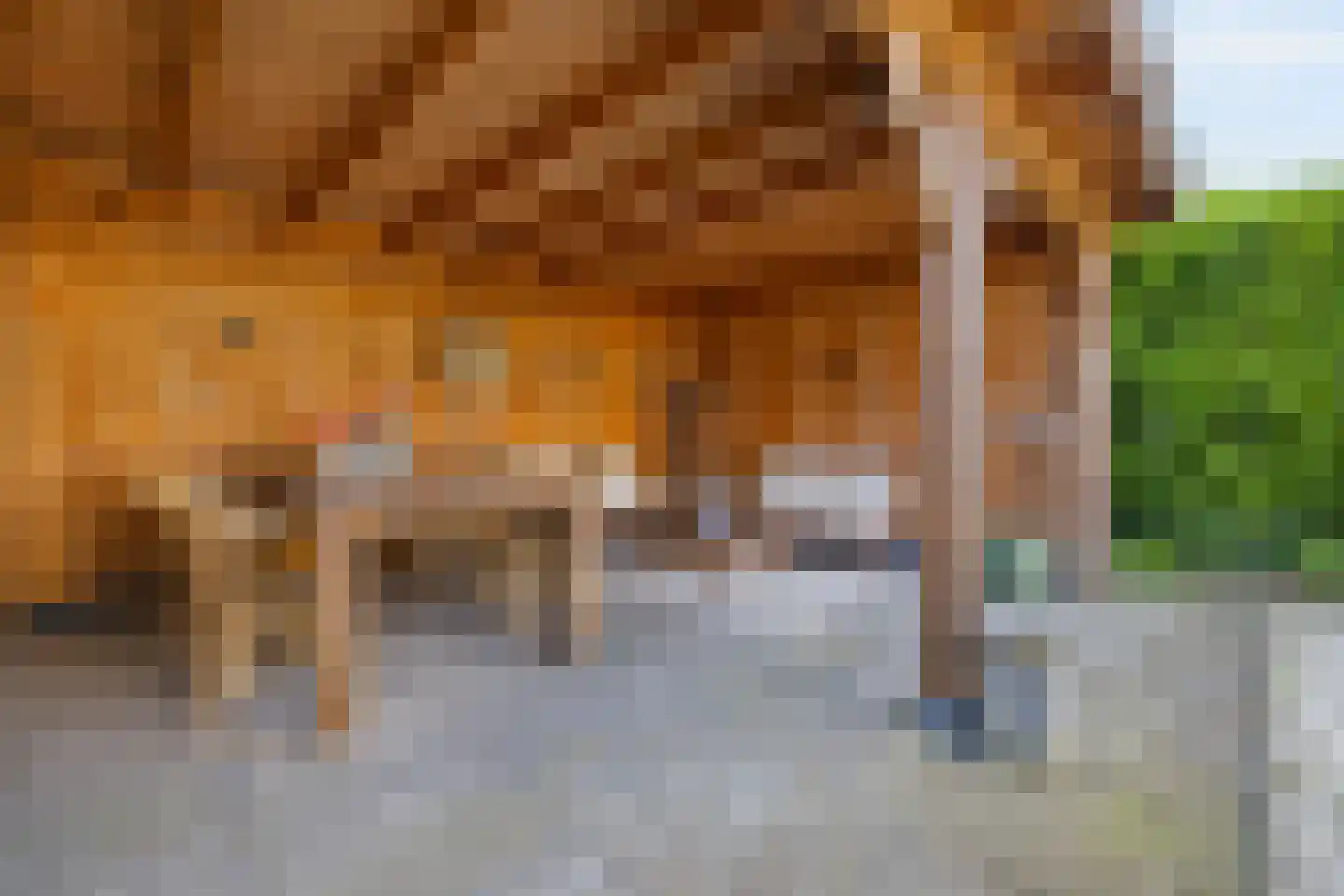Boomgat 19 Naarden thumbnail 43