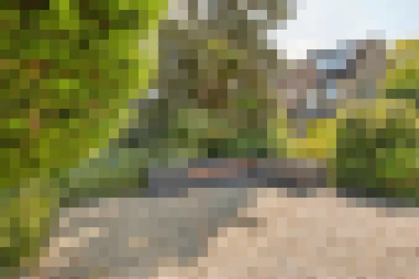 Boomgat 19 Naarden thumbnail 44