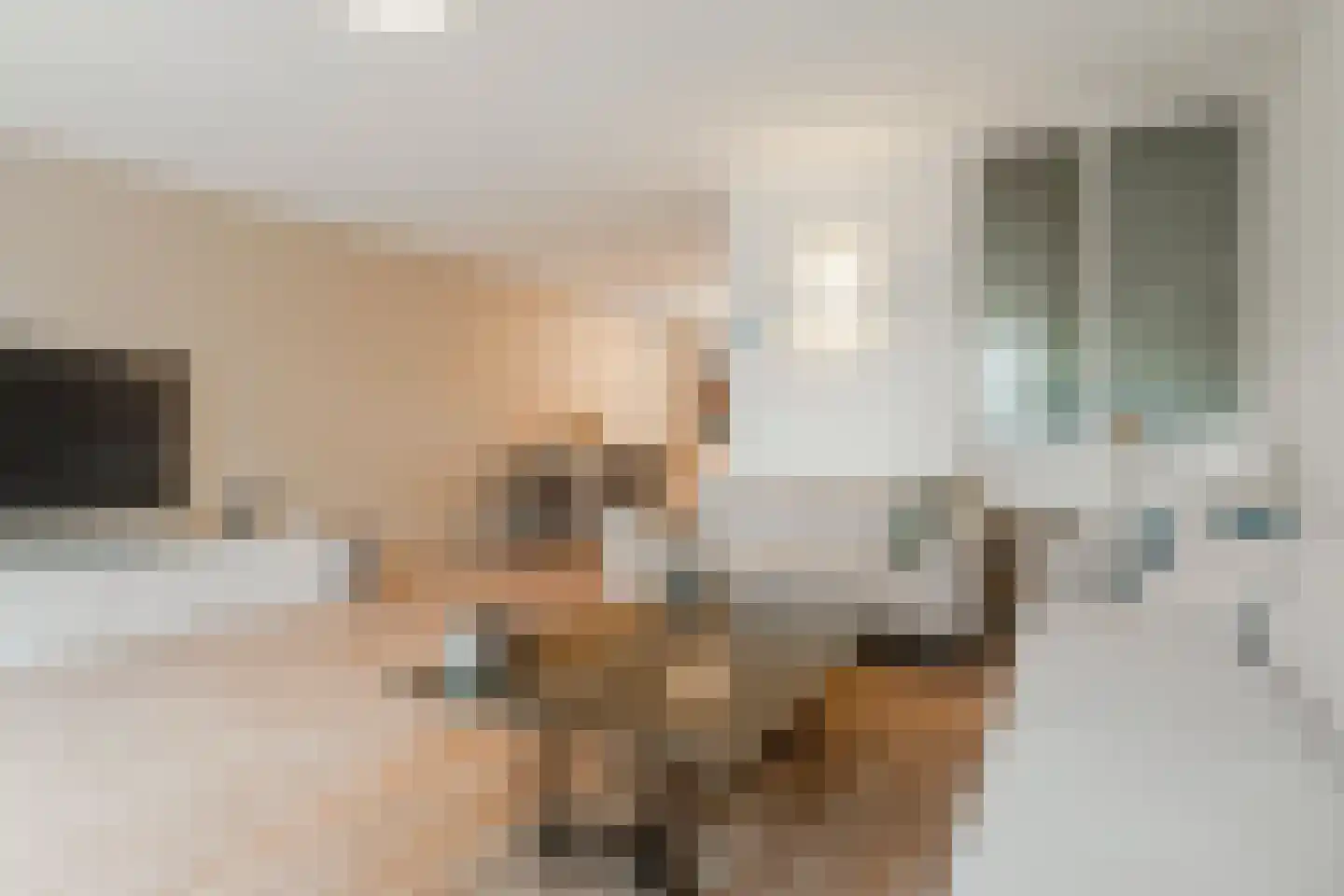 Boomhazelaaroord 13 Diemen thumbnail 12