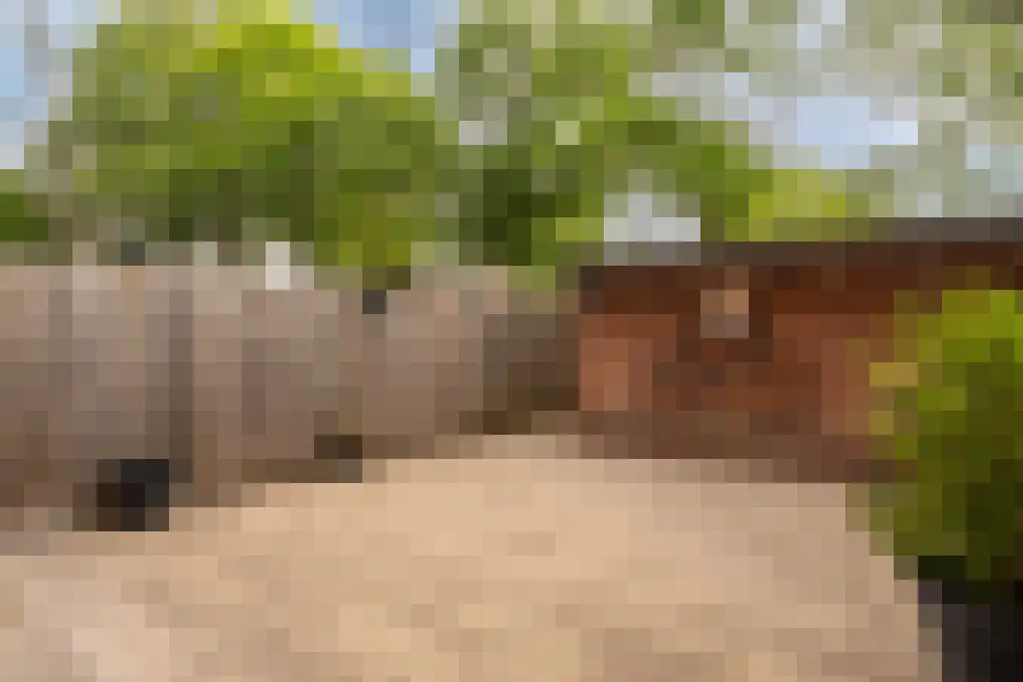 Boomhazelaaroord 13 Diemen thumbnail 22