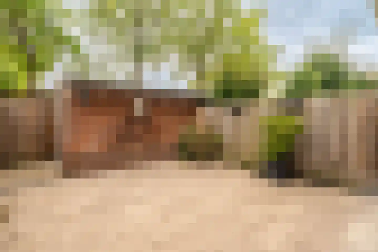 Boomhazelaaroord 13 Diemen thumbnail 23