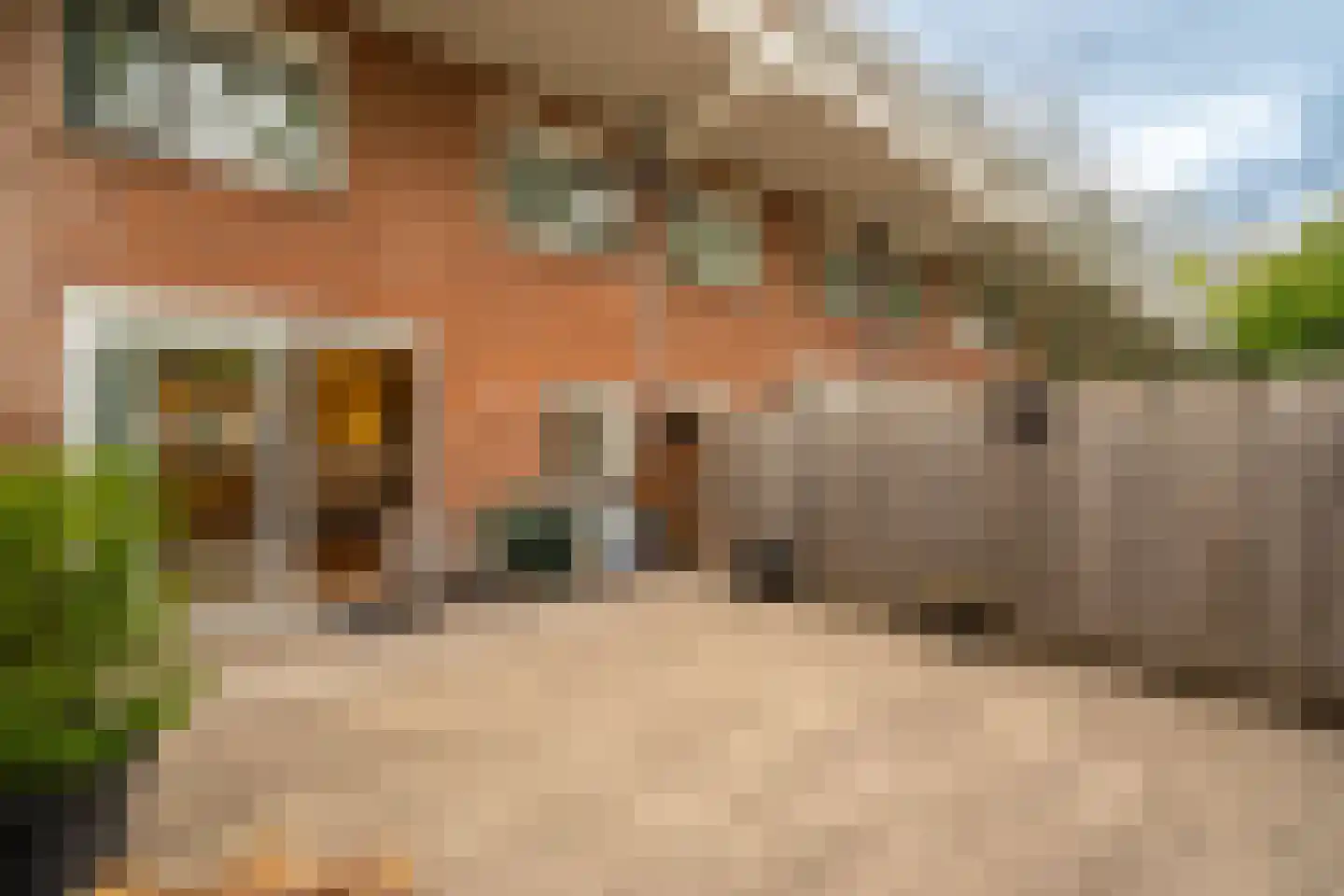 Boomhazelaaroord 13 Diemen thumbnail 25