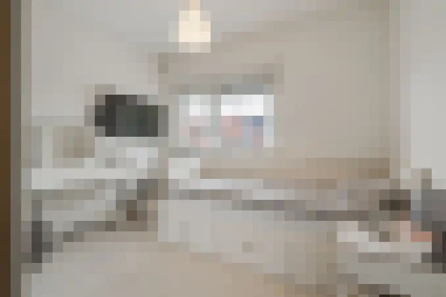 Boomhazelaaroord 13 Diemen thumbnail 27