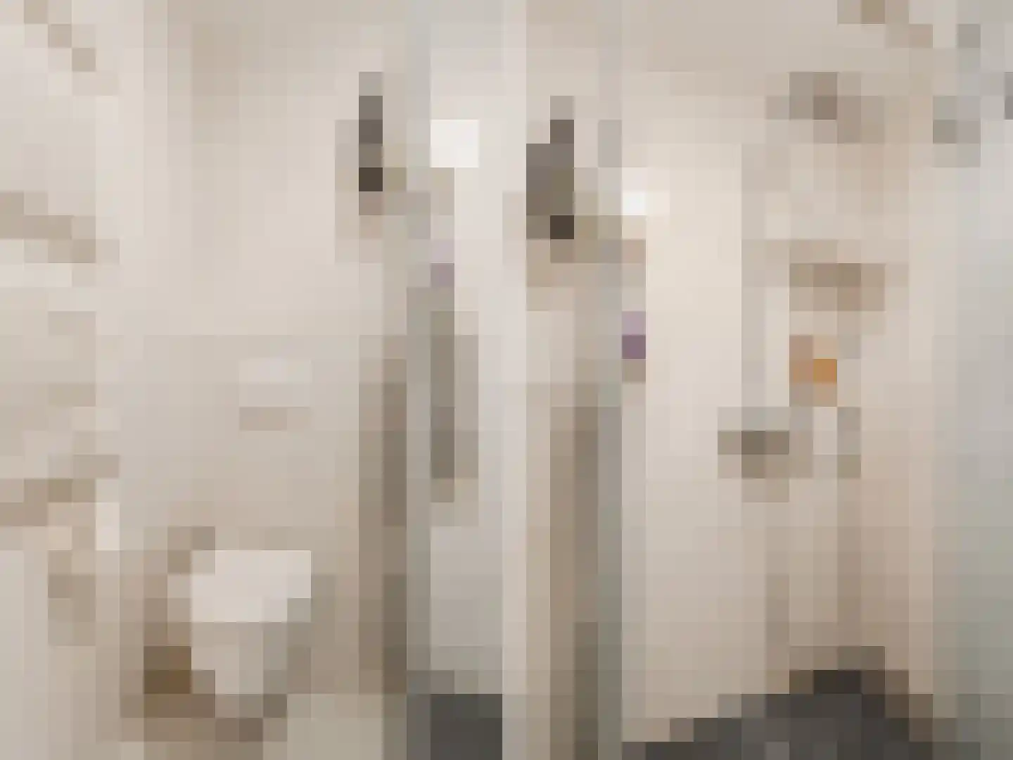 Boomhazelaaroord 13 Diemen thumbnail 39