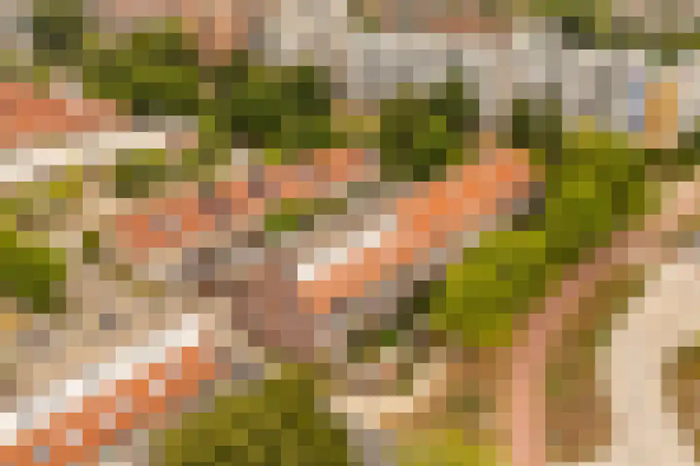 Boomhazelaaroord 13 Diemen thumbnail 43