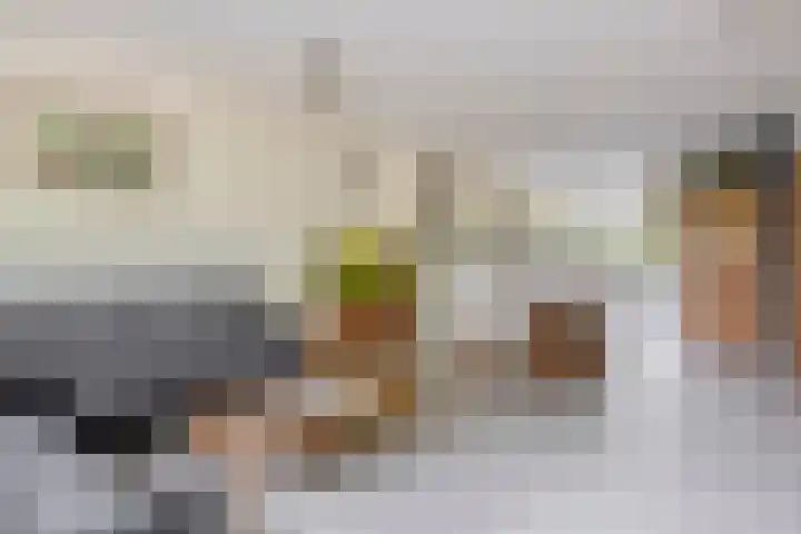 Boomheide 1 Rotterdam thumbnail 13