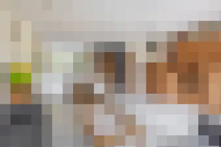 Boomheide 1 Rotterdam thumbnail 14