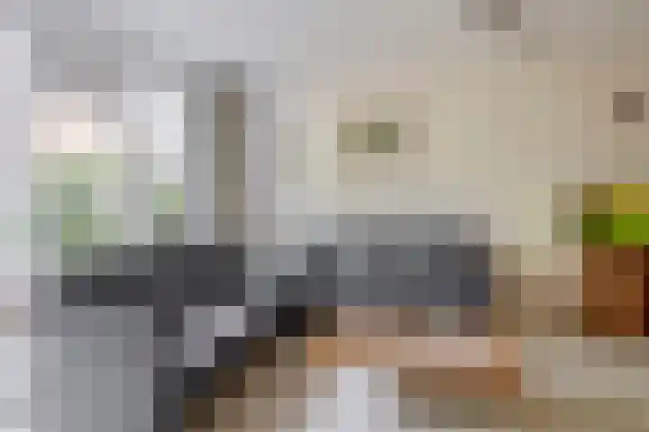 Boomheide 1 Rotterdam thumbnail 15