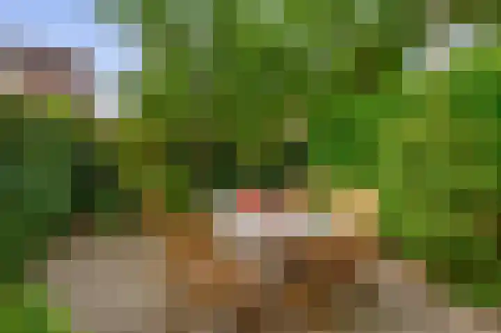 Boomheide 1 Rotterdam thumbnail 39