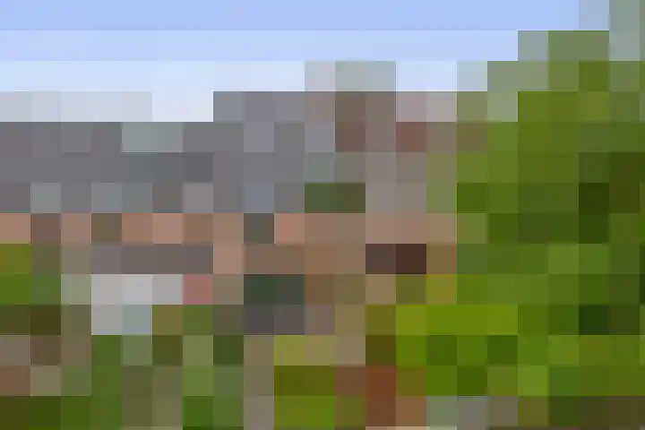 Boomheide 1 Rotterdam thumbnail 40