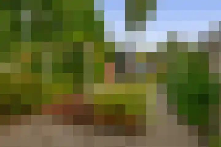 Boomheide 1 Rotterdam thumbnail 41