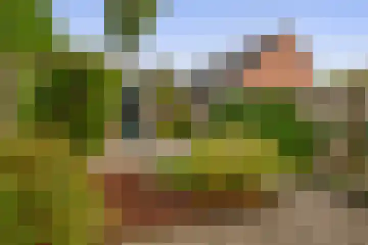 Boomheide 1 Rotterdam thumbnail 42