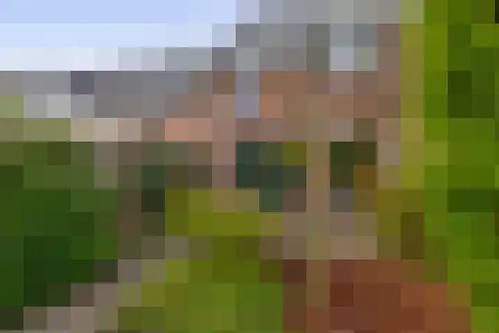 Boomheide 1 Rotterdam thumbnail 45