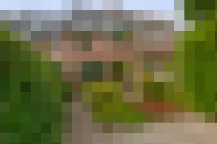 Boomheide 1 Rotterdam thumbnail 47